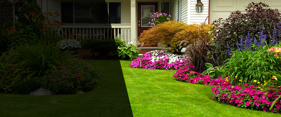 Sidney Landscapers
